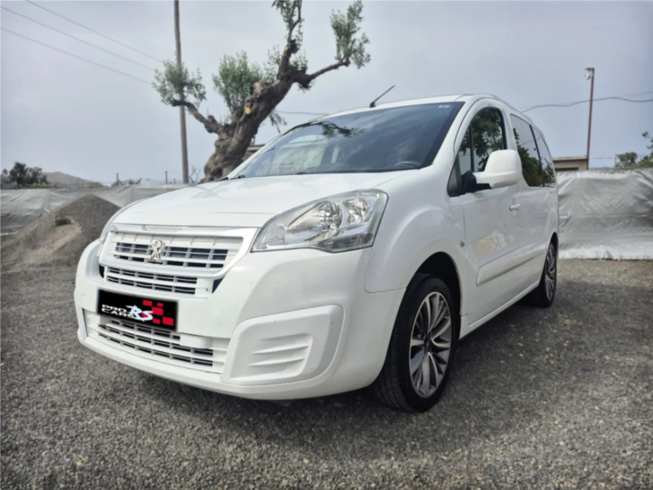 PEUGEOT PARTNER TEPEE 1.6