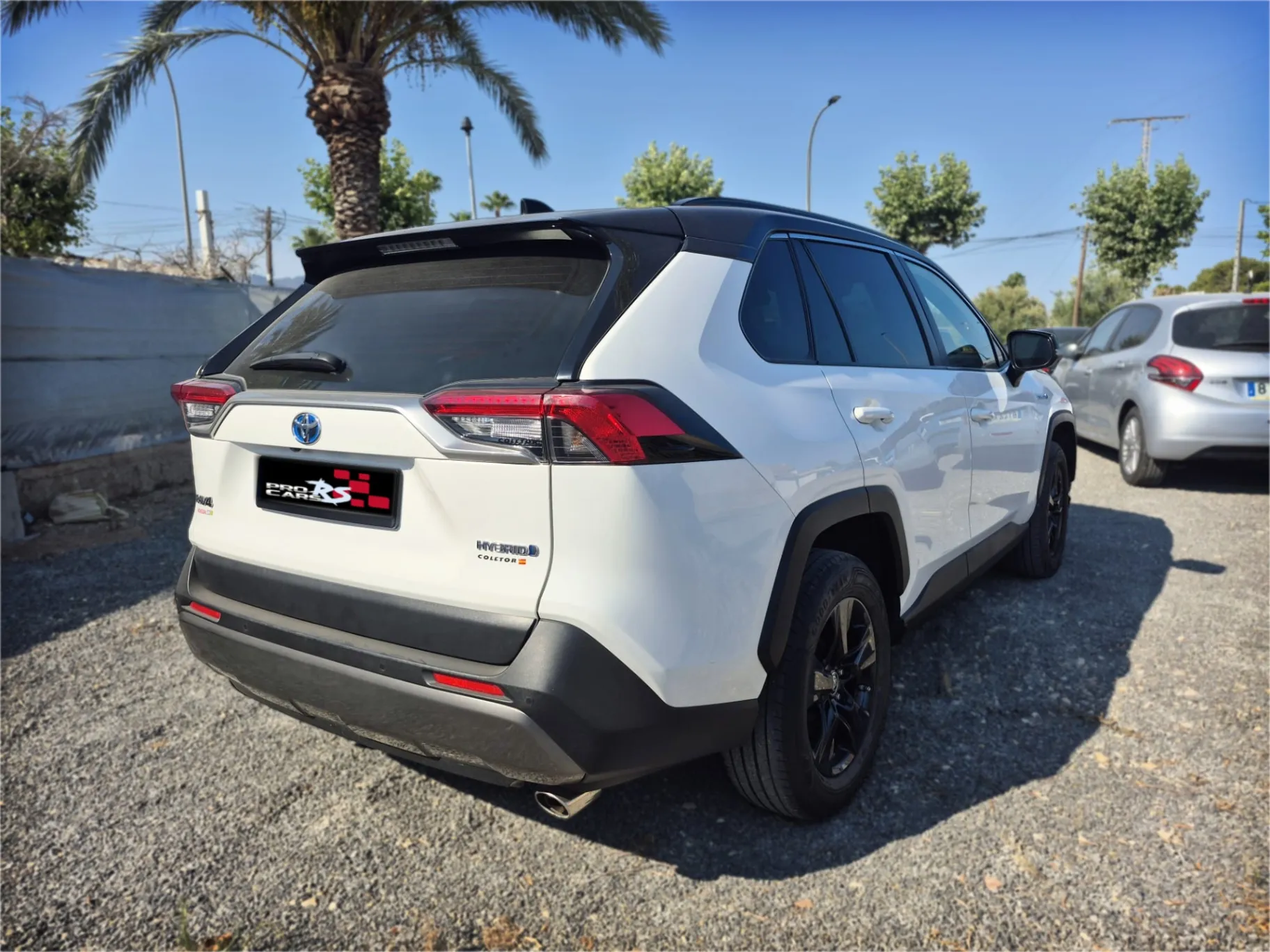 Toyota RAV4 gen 5 - Miniatura 4