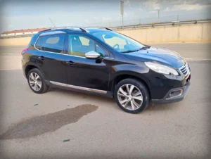 Foto de PEUGEOT 2008 1.6 HDI, imagen 1